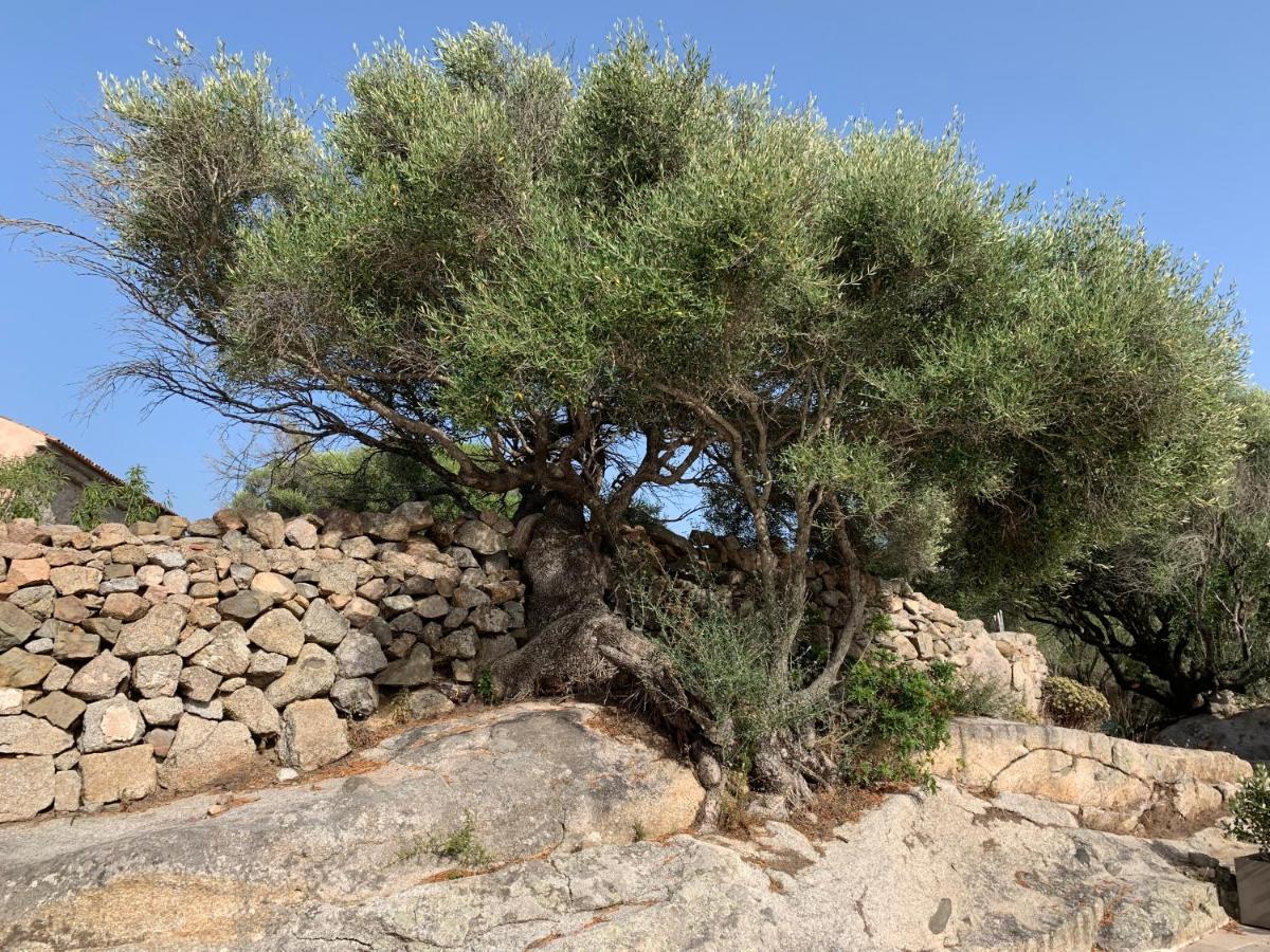 Гостьовий будинок Stazzu Nuraghe Mannucciu Рена-Майоре Екстер'єр фото
